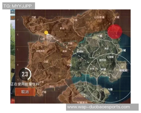 和平精英战术V5防反体系解析与实战应用技巧分享实时数据